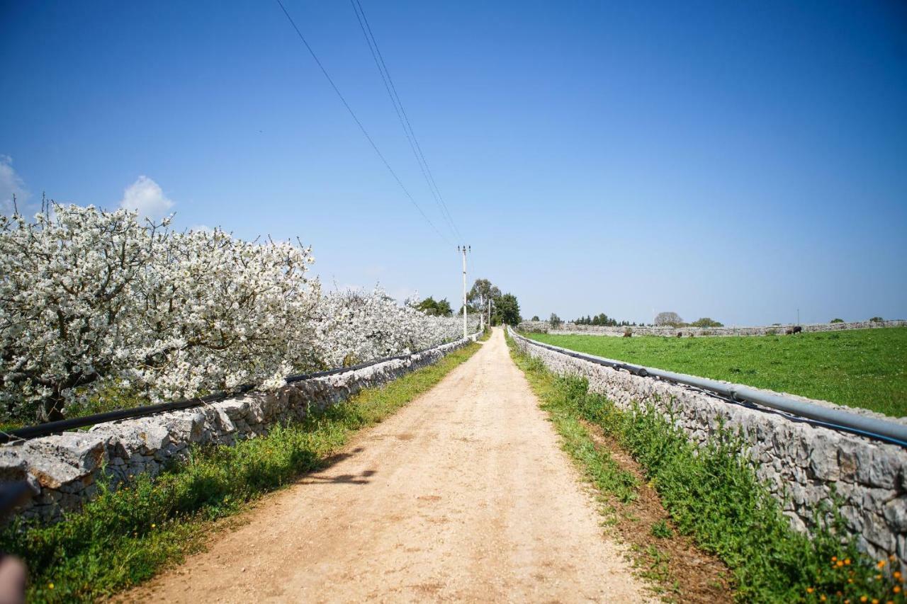 Masseria Guadiano Vecchio Santa Lucia  Exteriör bild