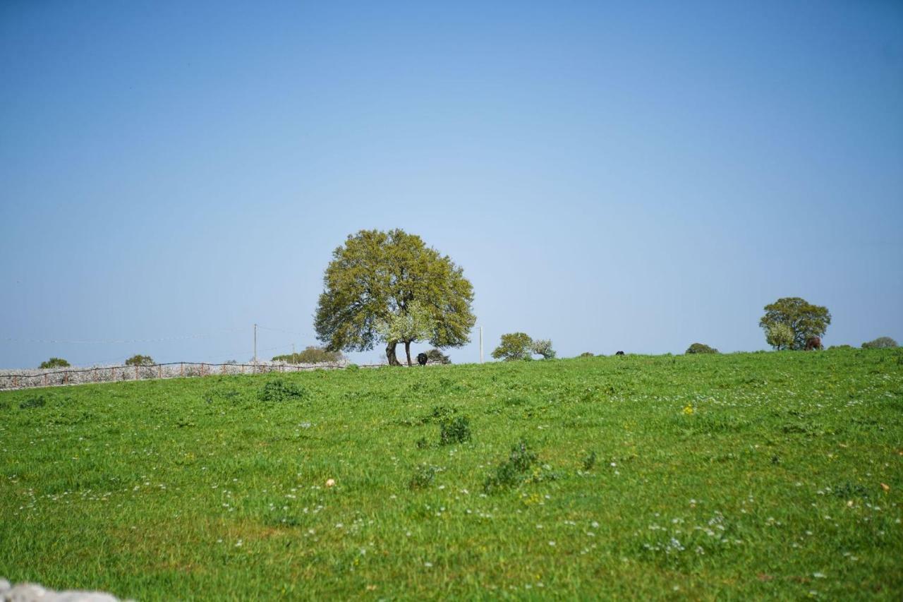 Masseria Guadiano Vecchio Santa Lucia  Exteriör bild